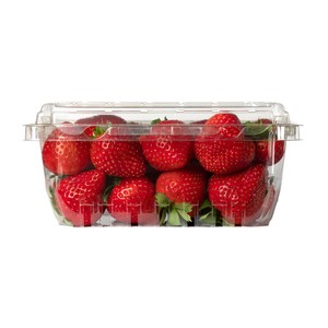 Fraises 454 g