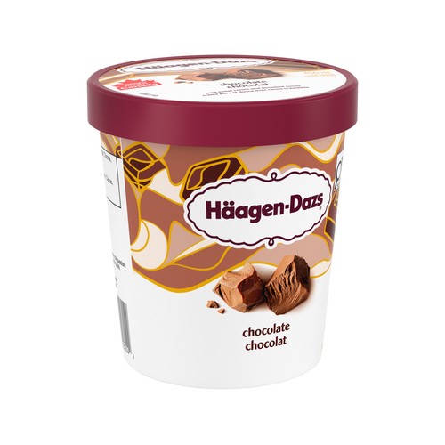 Haagen-Dazs Ice Cream Chocolate 450 ml