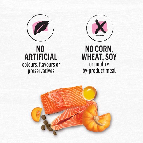 Beyond Dry Dog Food Wild Caught Salmon Egg & Pumpkin Recipe 5 kg