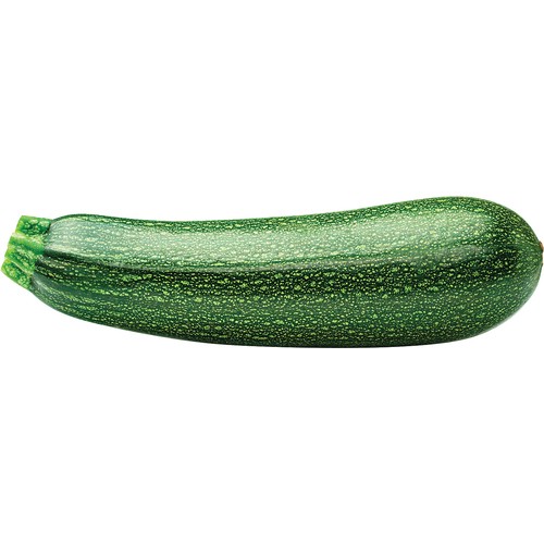 Zucchini Green 1 Count