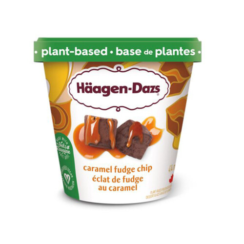 Haagen Dazs Plant Based Ice Cream Caramel Fudge Chip 400 ml
