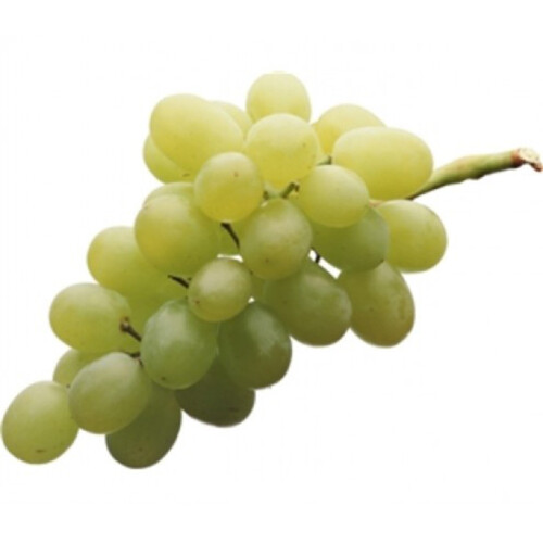 Baby Thompson Seedless Grapes