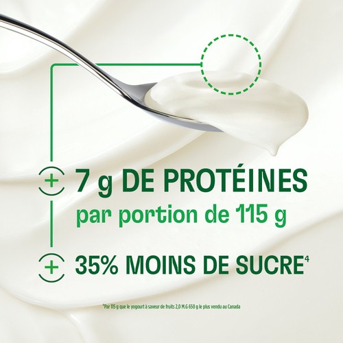 Activia Expert Yogurt Pre & Probiotics Plain 750 g