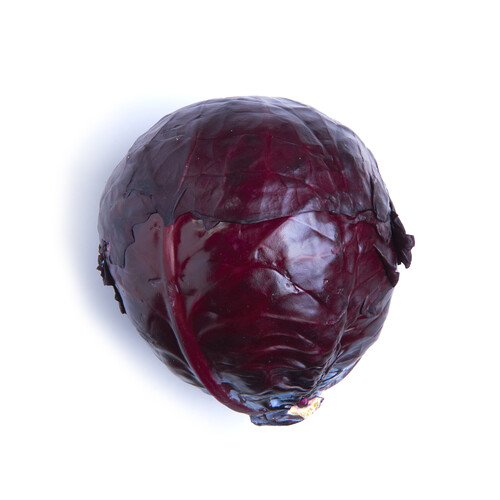 Cabbage Red 1 Count