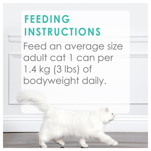 Fancy Feast Wet Cat Food Medleys Florentine Collection Variety Pack 12 x 85 g
