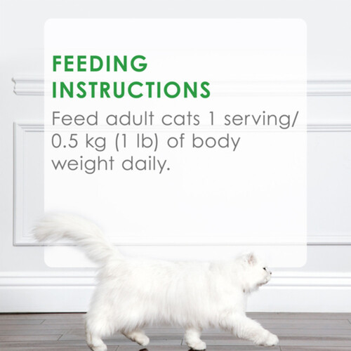 Fancy Feast Wet Cat Food Petites 79.4 g