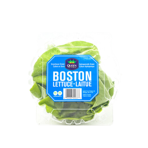 Boston Single Dome Lettuce 1 Count