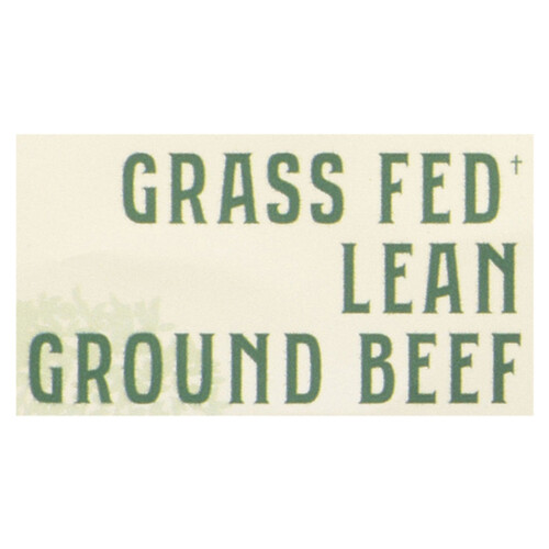 Springvale Grass Fed Ground Beef Lean 454 g