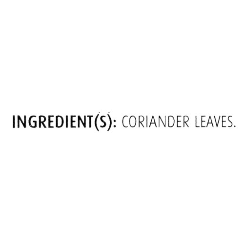 Les Aliments G. Dion Foods Gluten-Free Small Cilantro Leaves 6 g