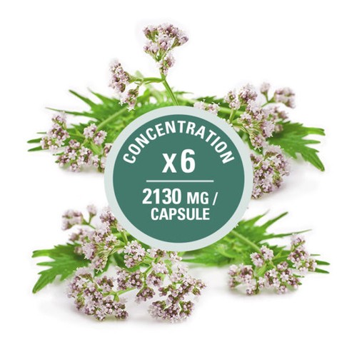 Léo Désilets Valerian Relaxation Capsules 90 Count