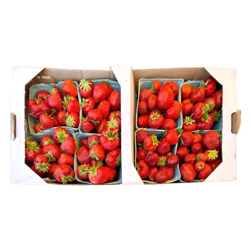 Strawberries Flat 8x1EA