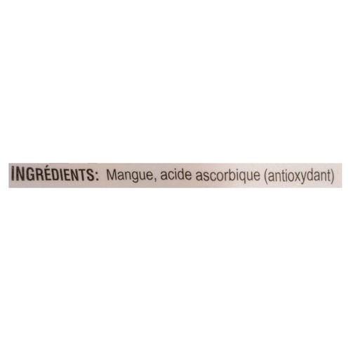 Canoa Mango Fruit Pulp 540 g