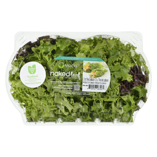 Naked Leaf Lettuce Trio Frisee 2 Pack