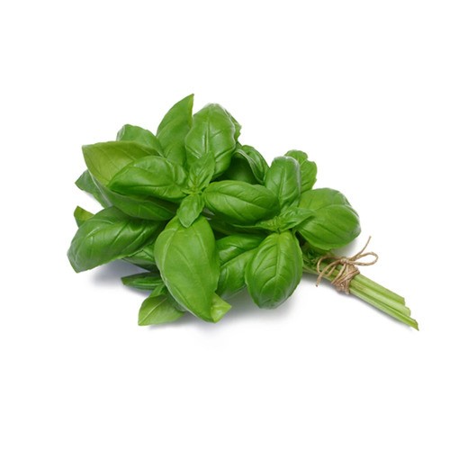 Organic Basil 28 g