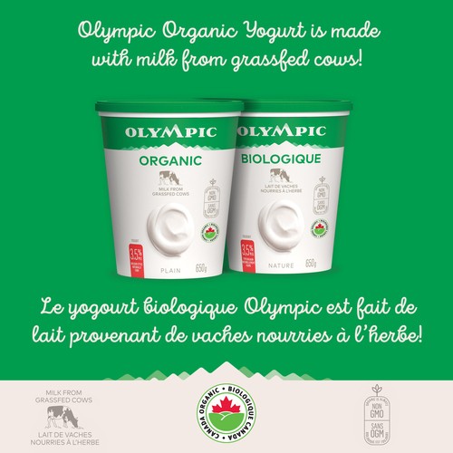 Olympic Organic 3.5% Yogurt Plain 650 g