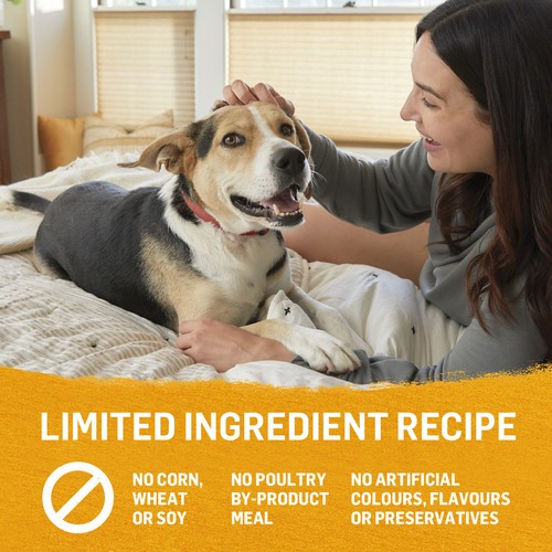 Beyond Ground Entre Wet Dog Food Chicken Carrot & Pea Recipe 368 g