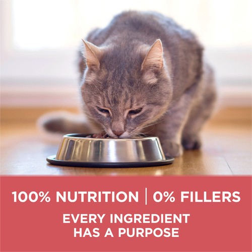 Purina One Indoor Advantage Dry Cat Food Salmon 1.8 kg