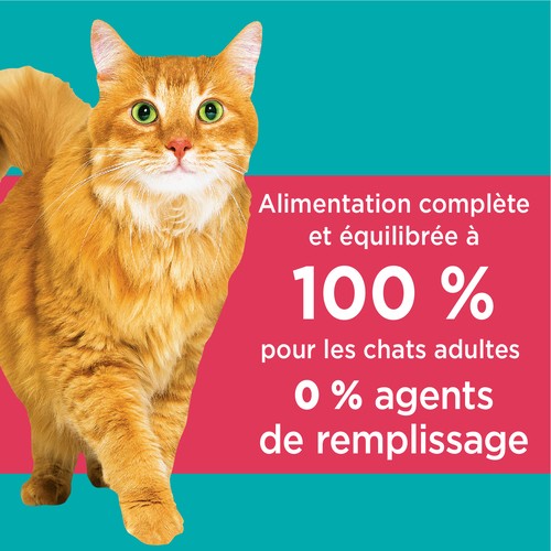IAMS Proactive Health Adult Dry Cat Food Hairball Care Chicken & Salmon 3.18 kg