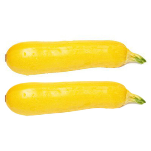 Zucchini Squash Yellow 2 Count