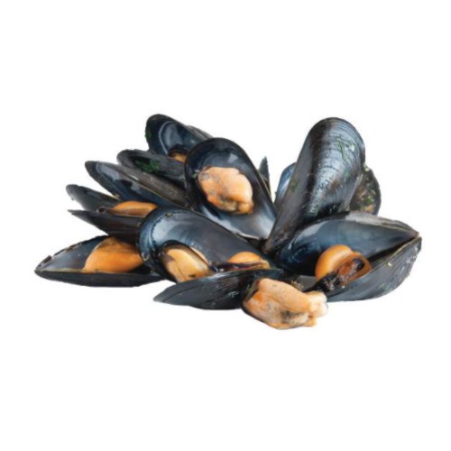 Ocean Wise Newfoundland Cultivated Mussels