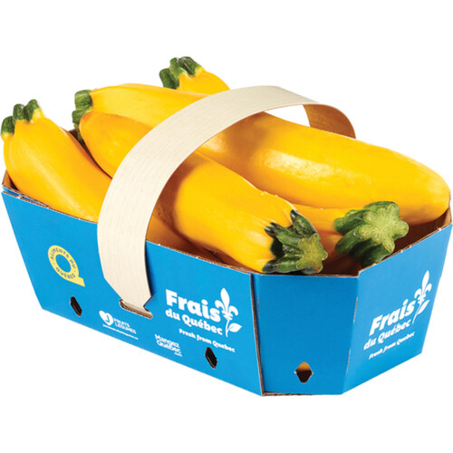 Squash Zucchini Yellow Basket 1 EA 