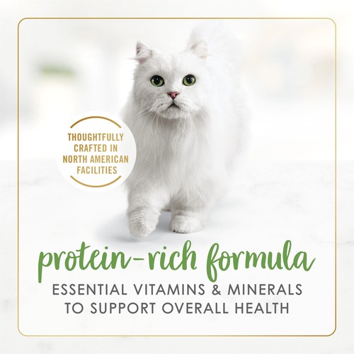 Fancy Feast Gravy Lovers Wet Cat Food Salmon Feast In Gravy 85 g