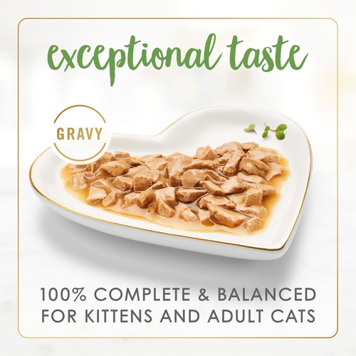 Fancy Feast Gravy Lovers Wet Cat Food Salmon Feast In Gravy 85 g