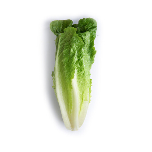 Romaine Lettuce 1 Count