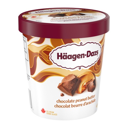 Haagen-Dazs Ice Cream Chocolate Peanut Butter 450 ml