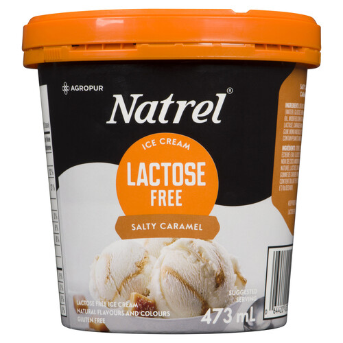 Natrel Lactose-Free Ice Cream Salty Caramel 473 ml