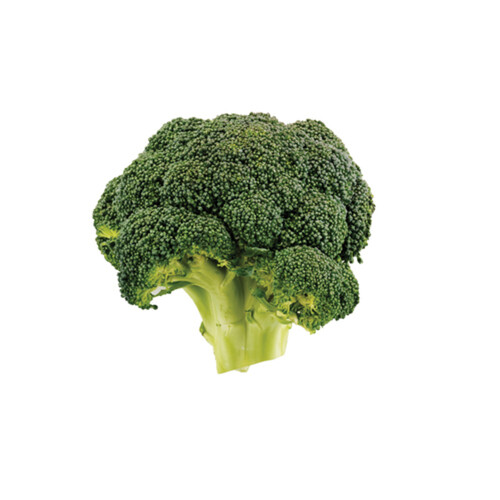 Organic Broccoli 1 Count