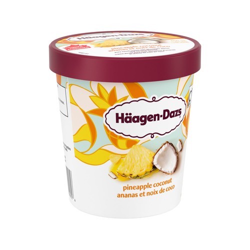 Haagen-Dazs Ice Cream Pineapple Coconut 450 ml