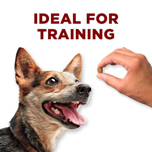 Purina ONE Dog Treats True Instinct Bites Chicken 198 g