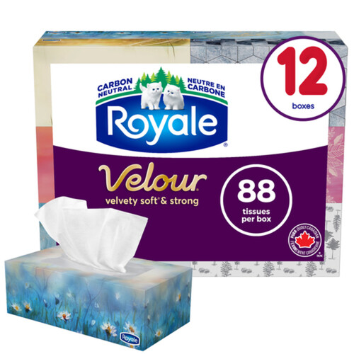 Royale Facial Tissue 3-Ply 12 Boxes x 88 Sheets