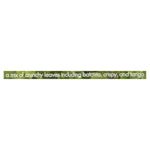 Inspired Leaves Crispies & Crunchies Salad 284 g