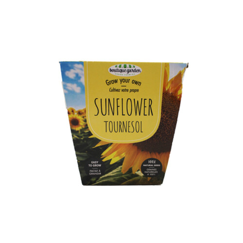 Sunflower Grow Kit With Ceramic Pot 1 EA