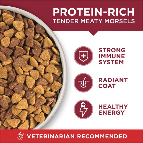 Purina ONE Pet Food Beef Rice 1.72 KG