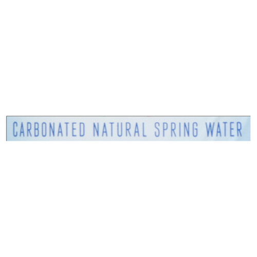 San Benedetto Carbonated Natural Spring Water 1.5 L (bottle)