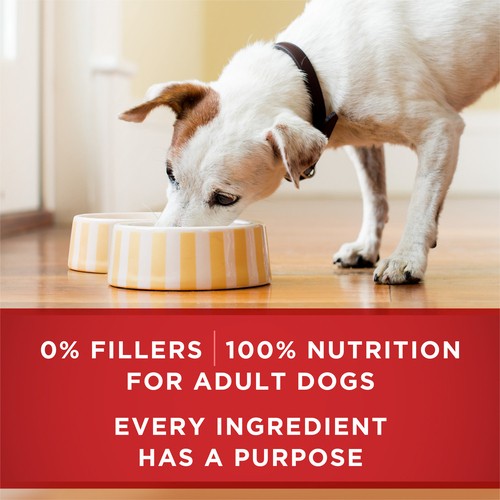 Purina ONE Wet Dog Food Classic Ground Chicken & Brown Rice Entre 368 g