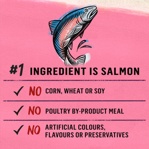 Beyond Wet Cat Food Pâté Wild-Caught Salmon Recipe 85 g