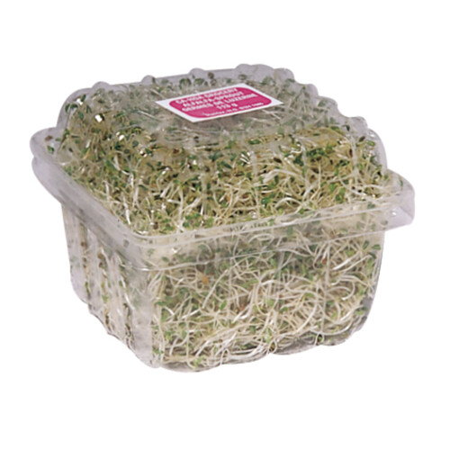 Alfalfa Sprouts 100 g 