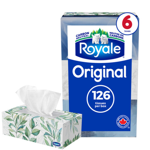 Royale Facial Tissues 2-Ply 6 Boxes x 126 Sheets 