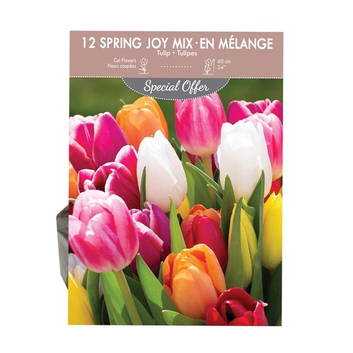 Tulip Mix Volume Pack 