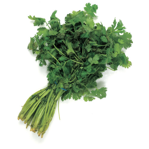 Organic Cilantro 1 Bunch