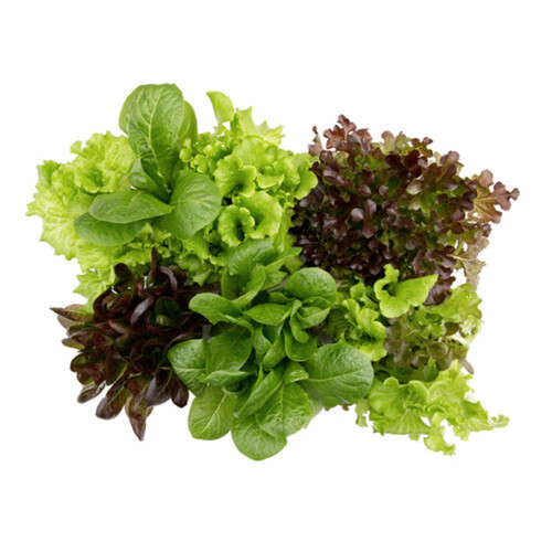 Slegers Organic Summer Lettuce 500 g