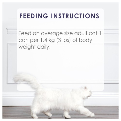 Fancy Feast Wet Cat Food Grilled Turkey Feast in Gravy 85 g