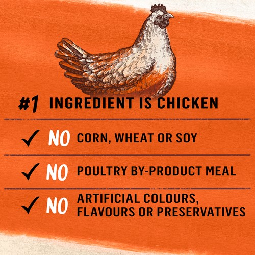 Beyond Dry Dog Food Small Dog Farm-Raised Chicken & Barley 1.67 kg