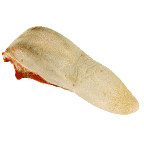 White Fresh Beef Tongue