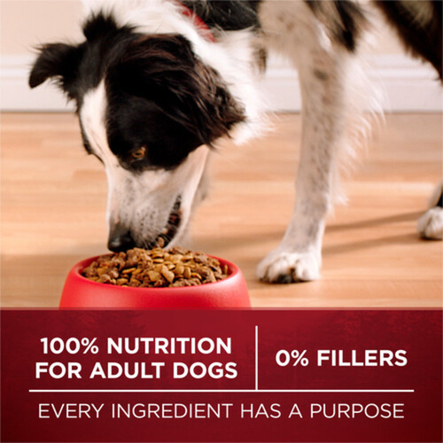 Purina ONE Dry Dog Food True Instinct Turkey & Venison 1.72 kg