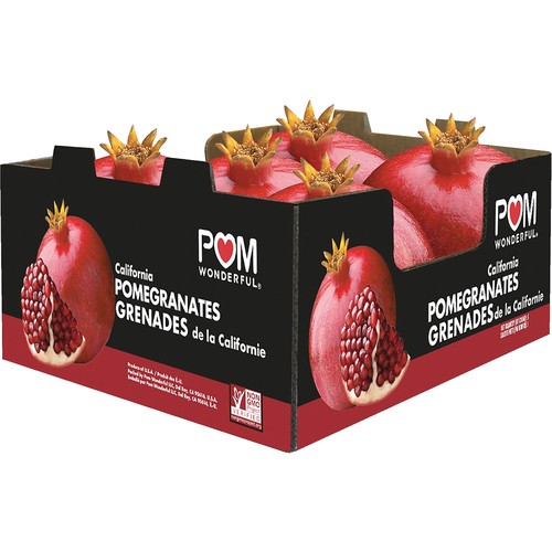 Pomegranate Case